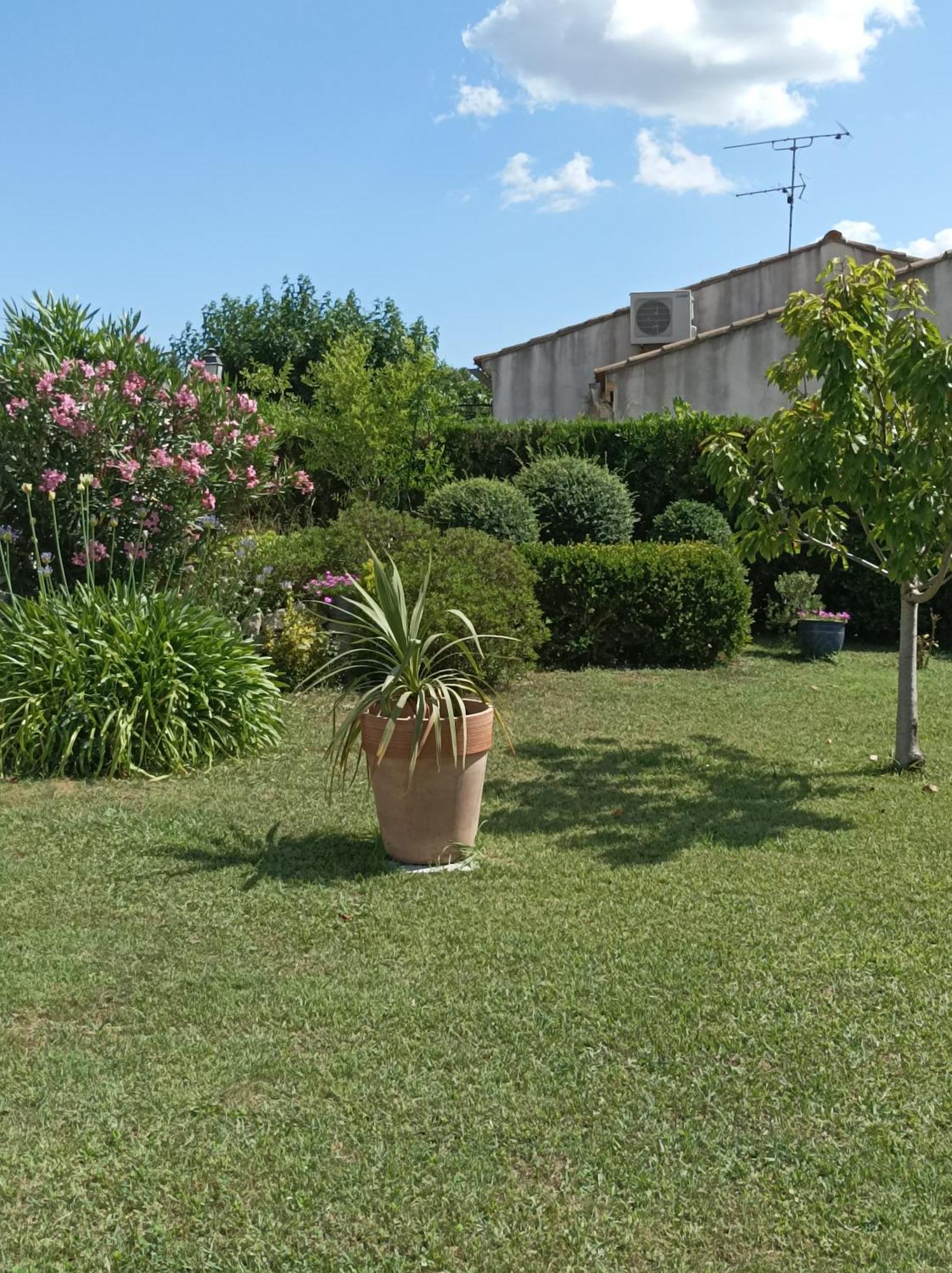 Chambre D'Hote Au Coeur Des Alpilles 穆里耶 外观 照片
