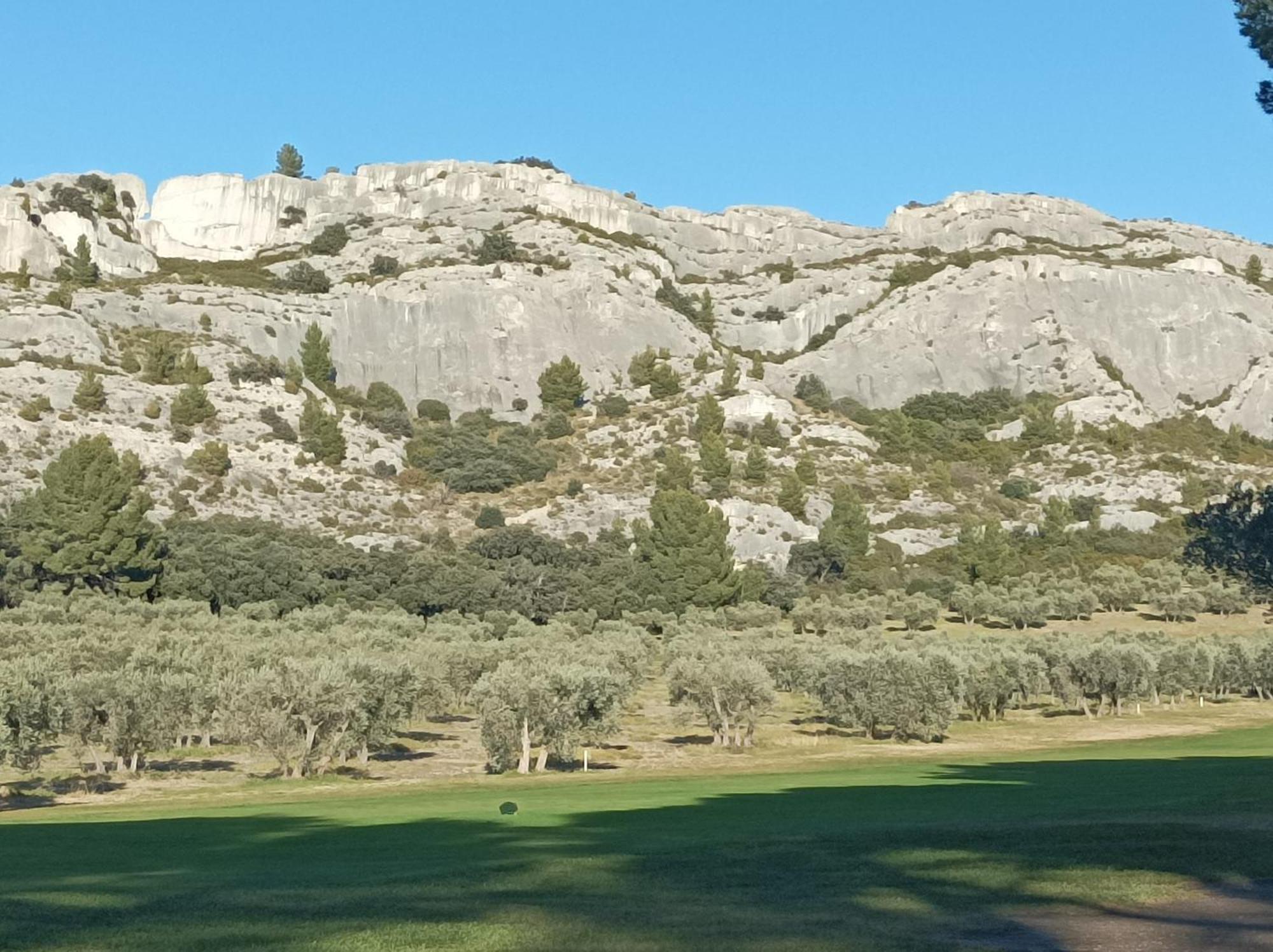 Chambre D'Hote Au Coeur Des Alpilles 穆里耶 外观 照片